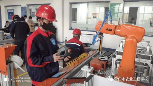 以实用高效为引擎，赋能区域发展 职业教育与咨询服务的融合路径